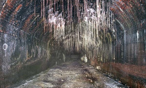 Let Me Take You Down